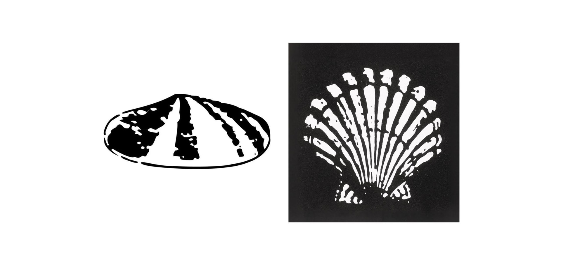 Shell First Loyalty - Sobre a Shell